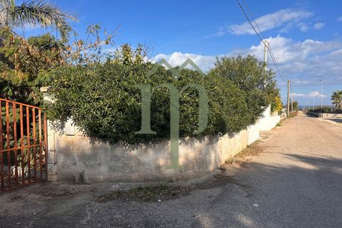 Landejendom i Carovigno, Brindisi, Carovigno - € 149.000 | Ref: Villa Guaceto - foto 7